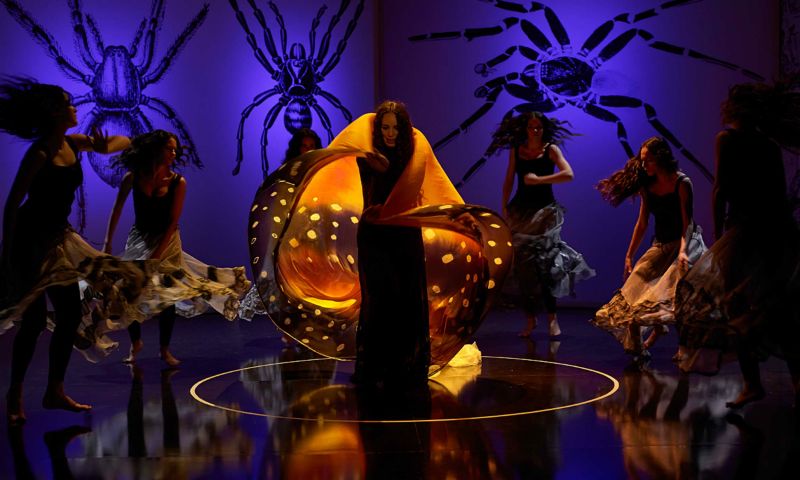 img1497016782.jpg