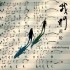 我們 (單曲)