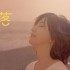 日落 (單曲)