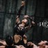 Pleasure (單曲)